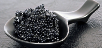 Les meilleures recettes de Caviar